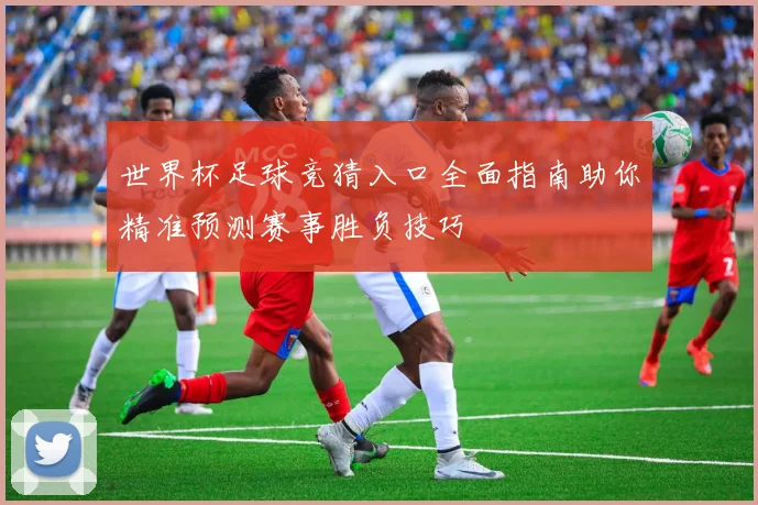 世界杯足球竞猜入口全面指南助你精准预测赛事胜负技巧
