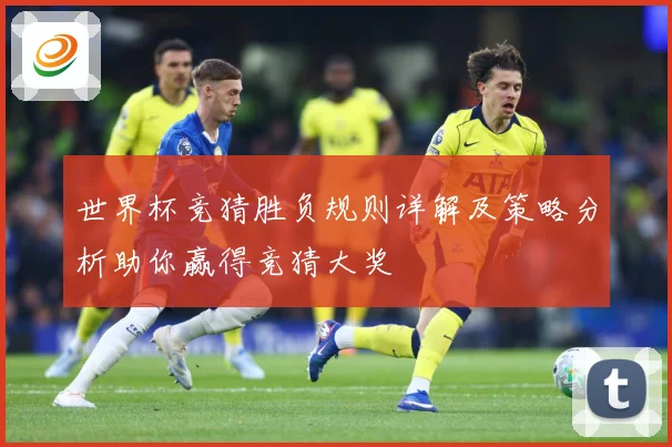 世界杯竞猜胜负规则详解及策略分析助你赢得竞猜大奖