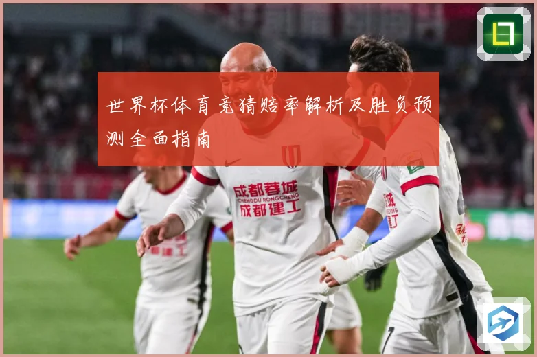 世界杯体育竞猜赔率解析及胜负预测全面指南